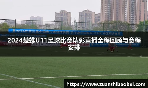 2024楚雄U11足球比赛精彩直播全程回顾与赛程安排